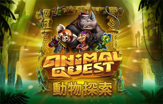 杰锐体育 最新版